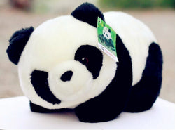 Lovely Kawaii Cute Kids Panda - Voilet Panda Store