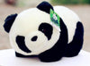 Lovely Kawaii Cute Kids Panda - Voilet Panda Store